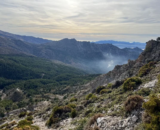Sierra de Granada